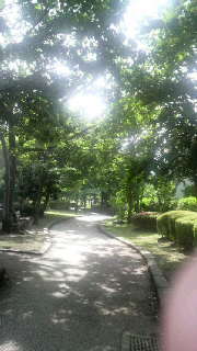 a0153065_1283171.jpg