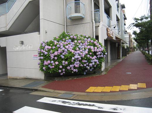 もう終わったはずなのに_f0205367_13582442.jpg