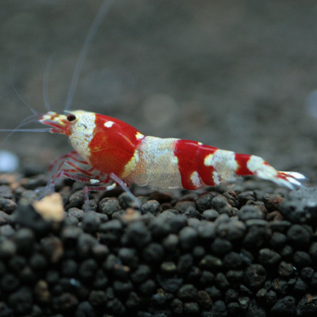 f0224970_21561071.jpg