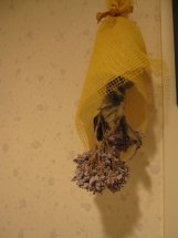紫陽花のおまじない ええねぇ 紫陽花のおまじない ええねぇ