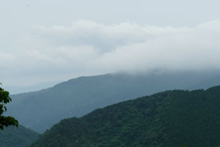 2010年6月26日 雨です_b0098584_23224544.jpg