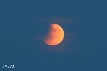 f0146493_2310536.gif