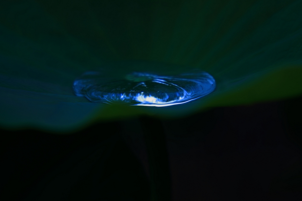 b0138101_626155.jpg