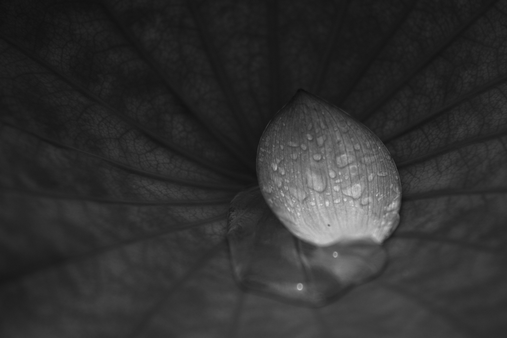 b0138101_627618.jpg