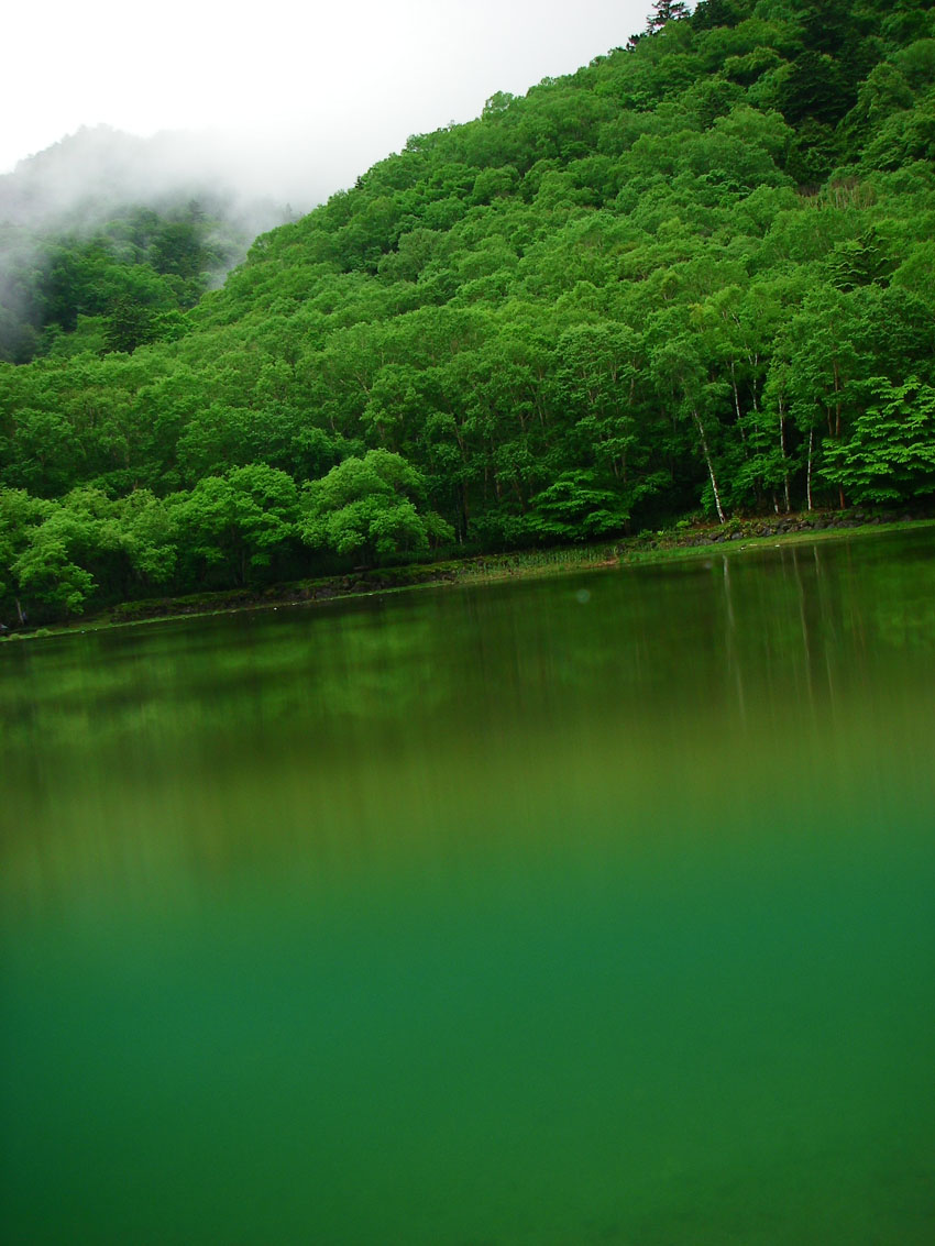 MARUNUMA 2010_c0095801_17143342.jpg