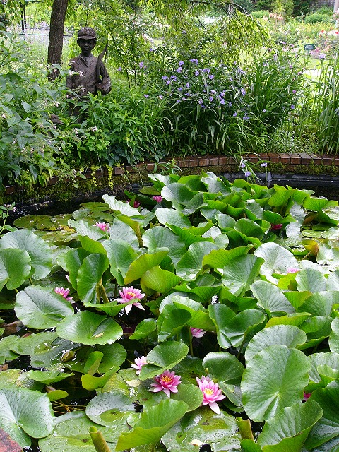 a0123003_23323557.jpg