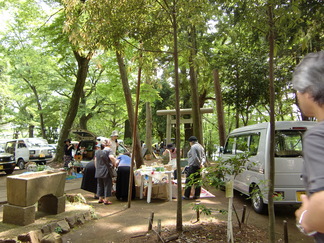 a0134004_16573630.jpg