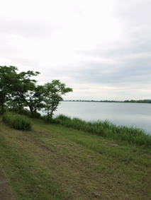 f0036005_17121896.jpg