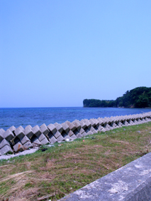 f0036005_513454.jpg