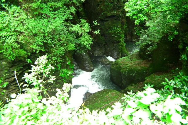 a0097006_21412632.jpg