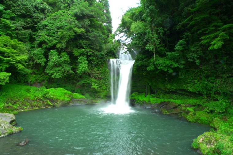 a0097006_21442758.jpg