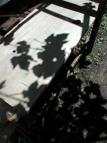 c0170208_928725.jpg