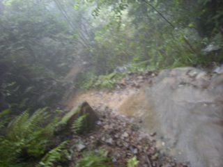 b0183911_23343537.jpg