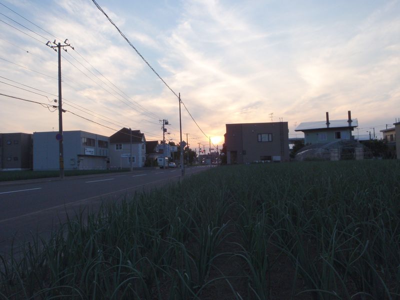 真夏日_c0025115_0155667.jpg