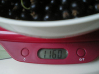 c0124619_14252435.jpg