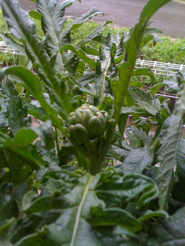 d0148019_20153415.jpg