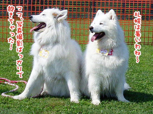 a0044521_7401422.jpg