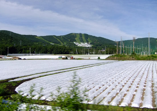 峰の原高原　続き_d0066822_872867.jpg