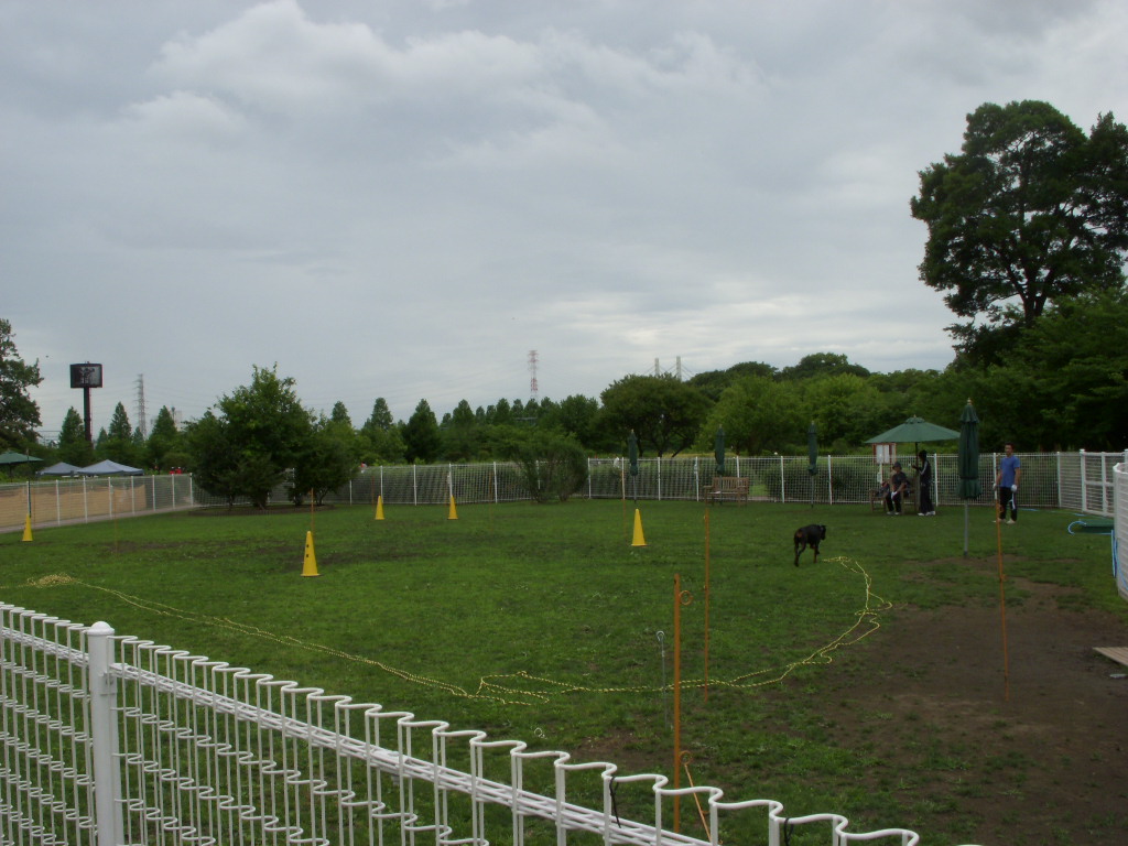 e0109622_17295892.jpg