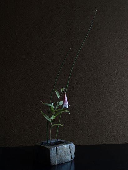 20100627.jpg