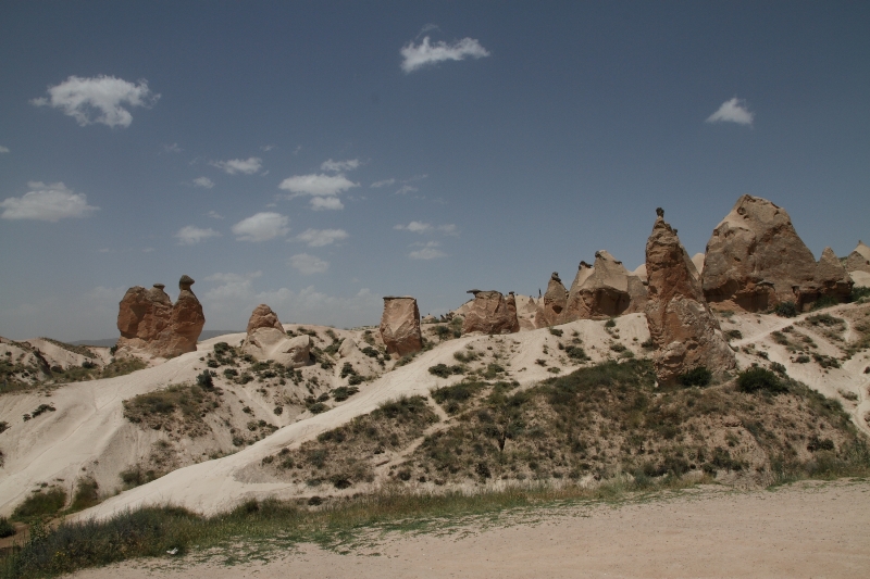 b0169330_15181092.jpg