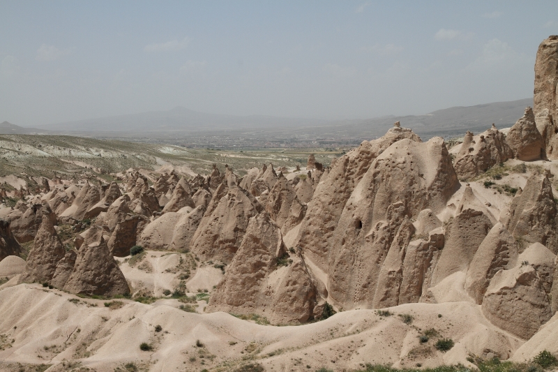b0169330_15182377.jpg