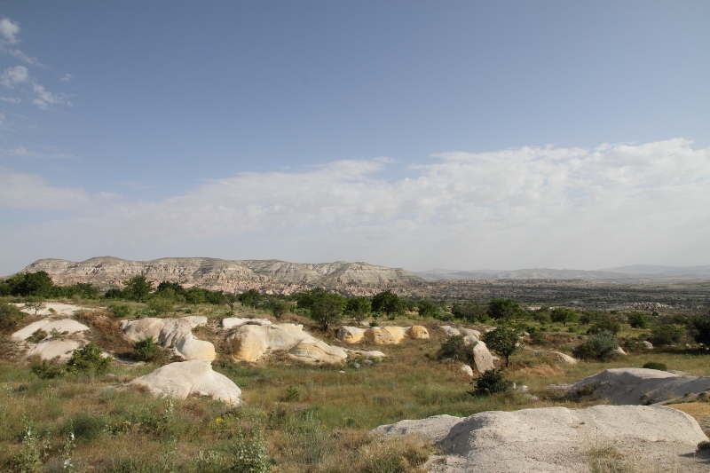 b0169330_18563323.jpg
