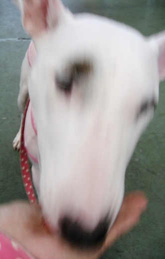 c0192330_2243312.jpg