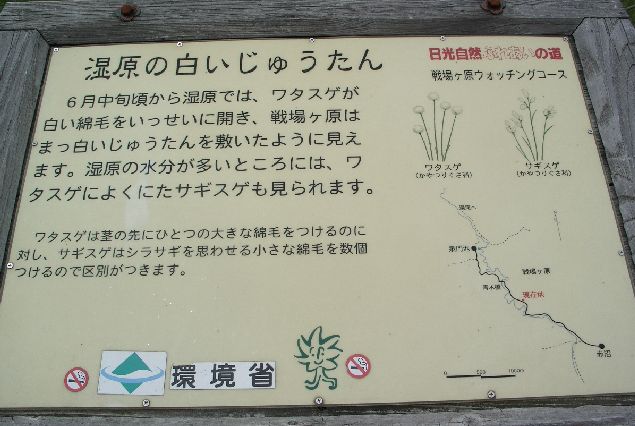 d0169732_21201039.jpg