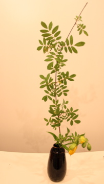 f0156639_2051873.jpg