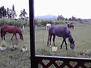 狭いところが好き?_e0145441_2114296.jpg