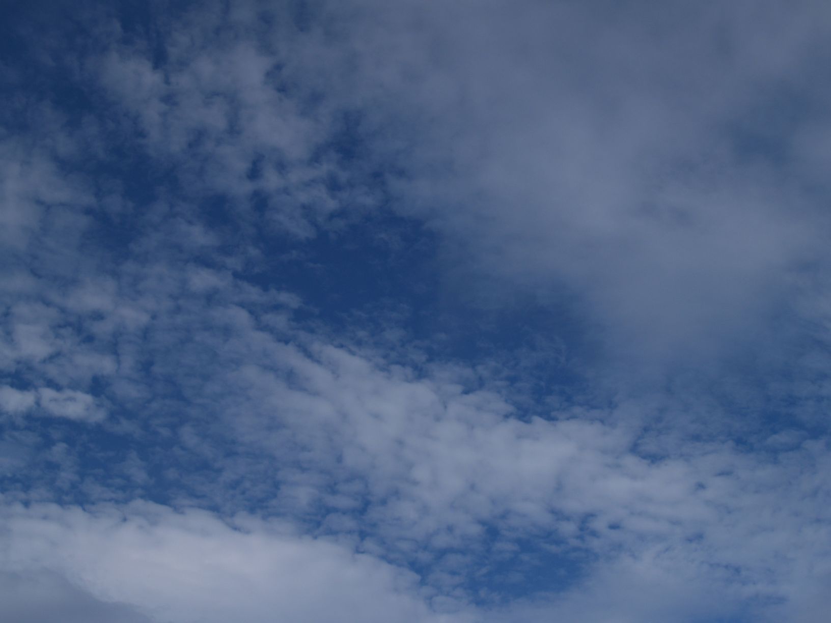 b0157942_883447.jpg