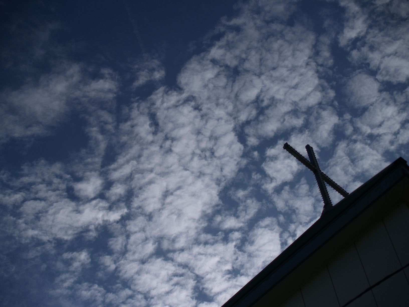 b0157942_885219.jpg