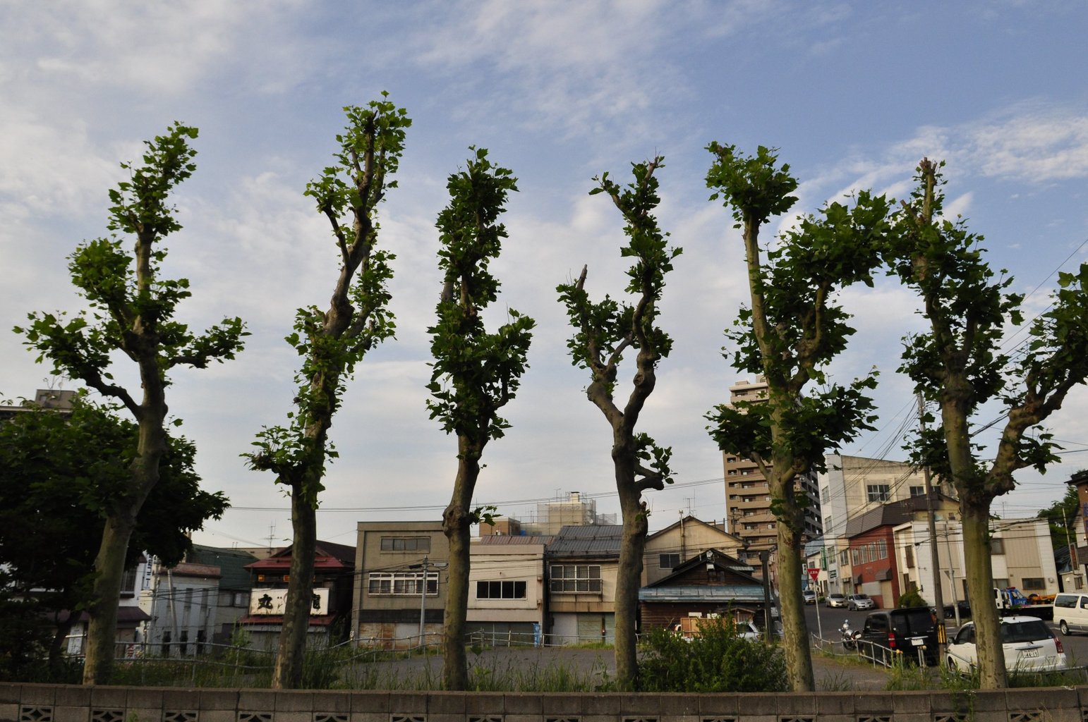 f0236843_19253261.jpg