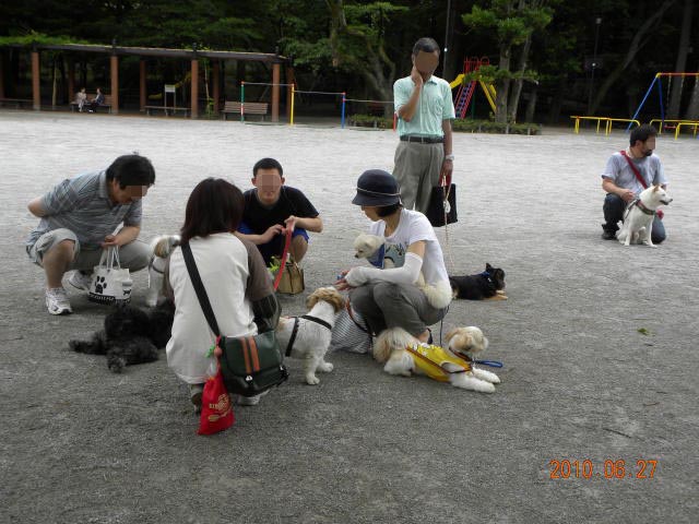 昼食は(*\'ー\'*)ふふっ♪_c0102545_17321795.jpg