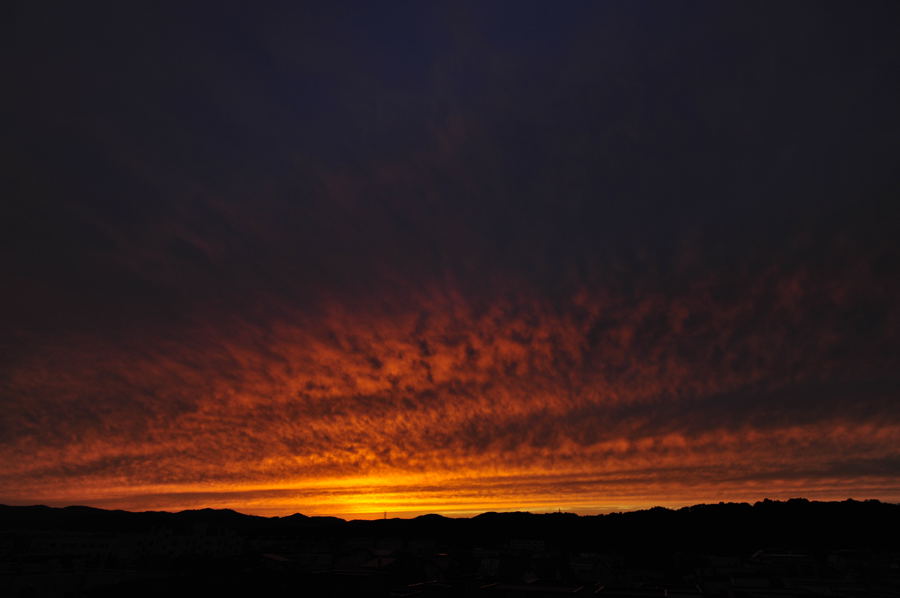 c0162846_00425.jpg