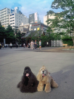 f0203249_23282272.gif