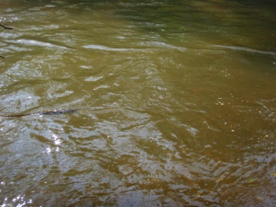 c0097652_20403315.jpg