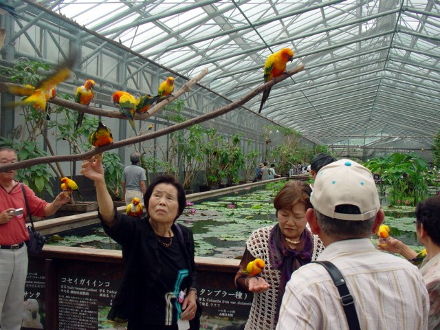 鳥は幸福と愛の象徴だってね_e0074955_1365534.jpg