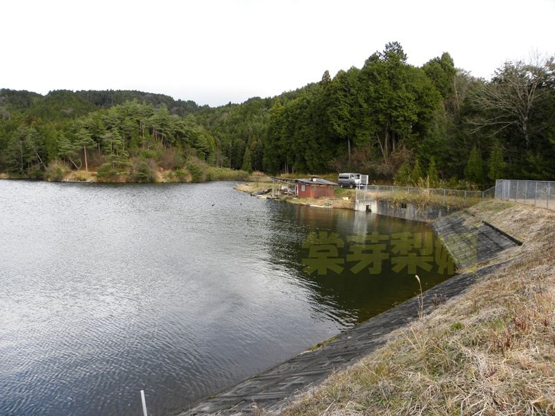 曽根尾池 滋賀県甲賀市甲賀町神 10年1月5日 棠芽梨婀 溜