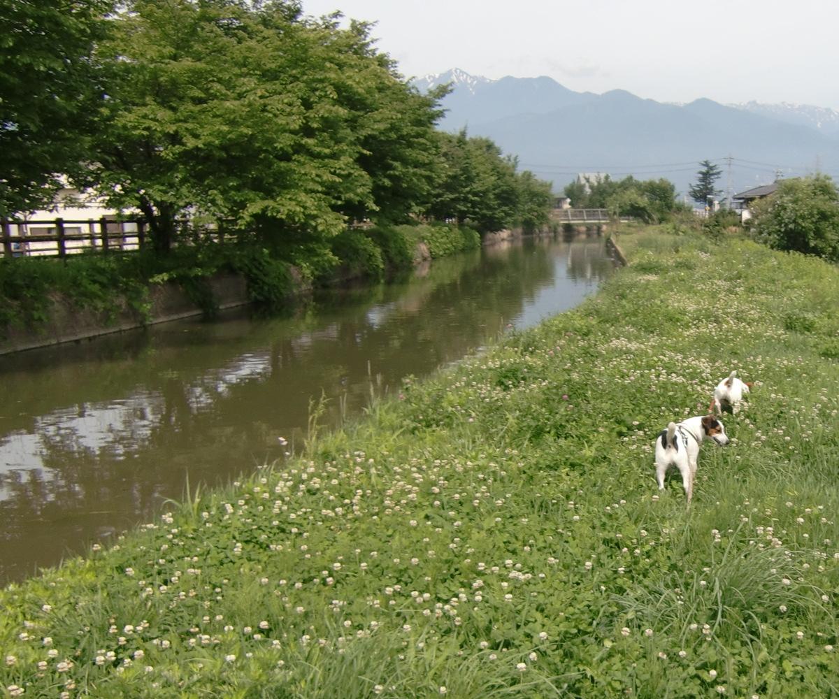 c0140260_2071100.jpg