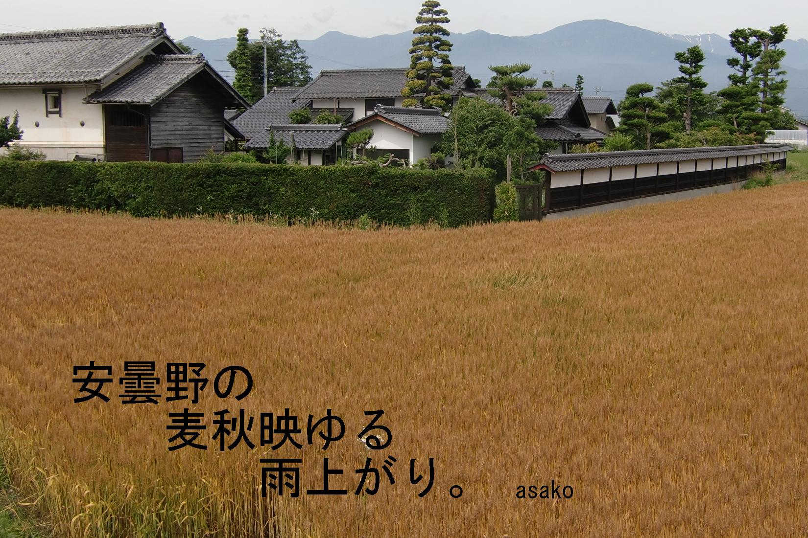 c0140260_2081497.jpg