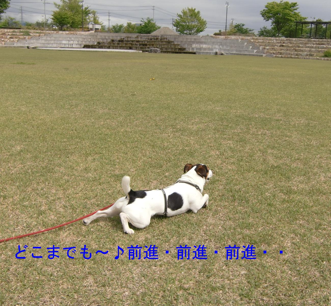 c0140260_209161.jpg