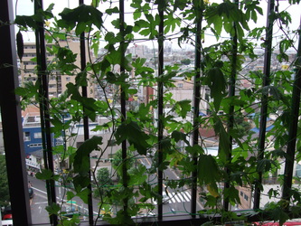 c0192160_3364036.jpg