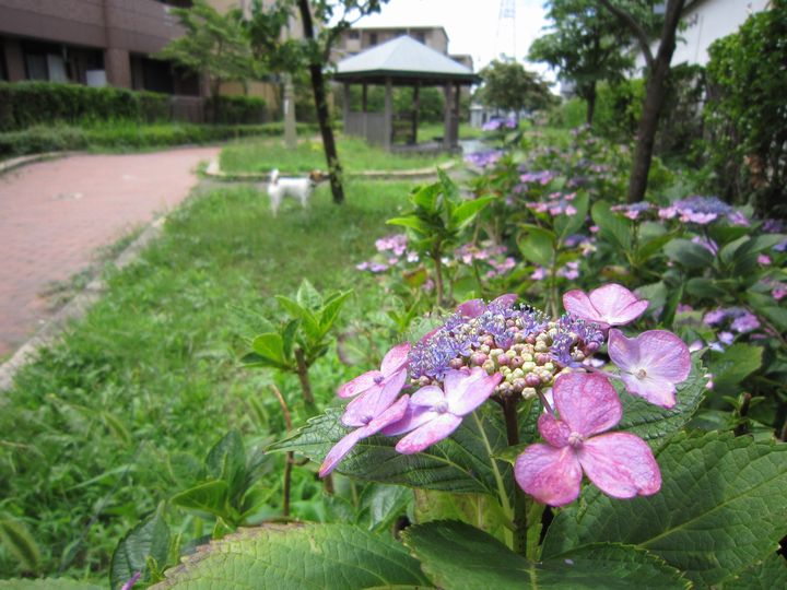 雨がやんだら_f0100871_21112980.jpg