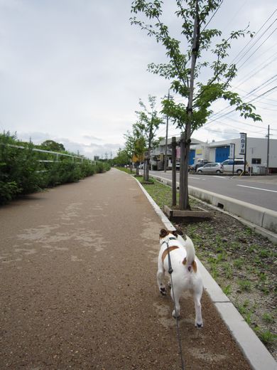 雨がやんだら_f0100871_2171071.jpg