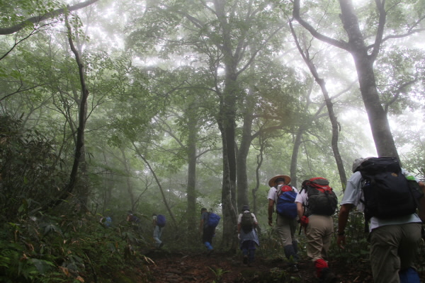 雨の船形山_e0068873_21394876.jpg