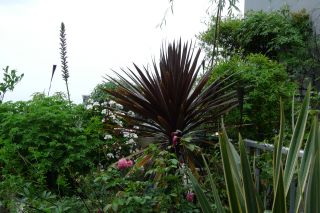 2010年6月27日 リサイクル。。。 _b0098584_8515528.jpg