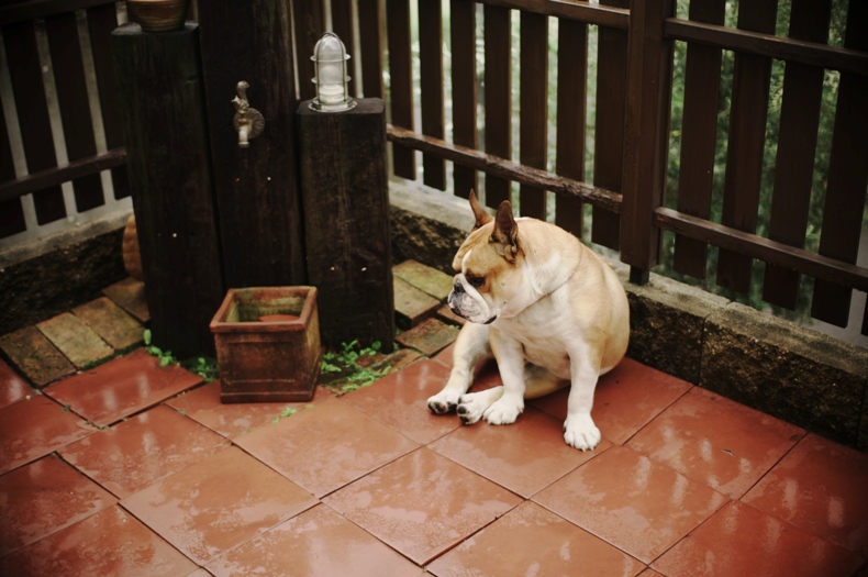 f0197987_85072.jpg