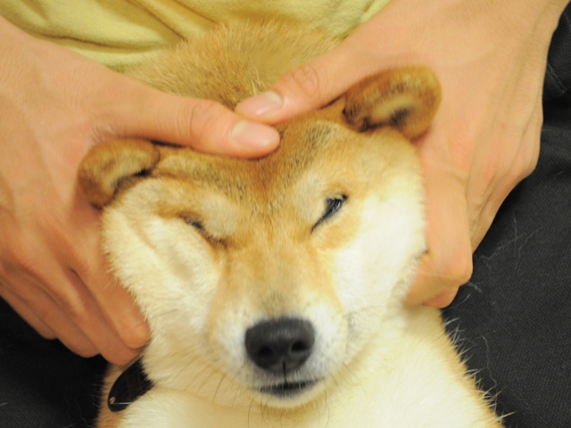 忘れてはいけないこと_a0126590_23251243.jpg